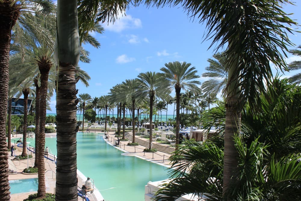 Fontainebleau II Tresor  photo 5